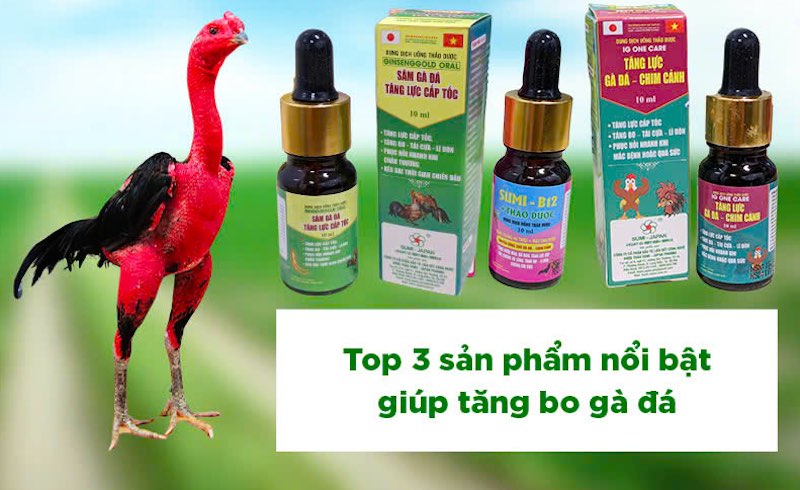 Bộ sản phẩm thuốc nuôi gà đá vitamin – khoáng thường dùng trong chăm sóc gà