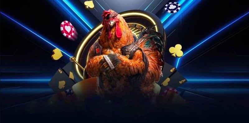 Chất lượng hình ảnh và âm thanh đá gà trực tuyến C5 rất tốt